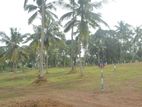 Valuable Lands Plot Near to Moratuwa
