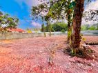 Valuable Near Bus Road 33 Perches Land For Sale In Daluwakotuwa Negombo