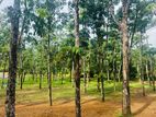 Valuable Plots for Sale in Horana Ballapitiya