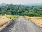 Valuable Plots Land in Avissawella