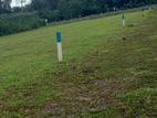 Valuable Plots of Land in Eheliyagoda Town