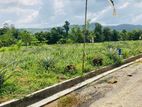 Valuable Plots of Land in Suburbs Eheliyagoda