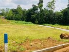 Valuable Plots Of Land In Suburbs Eheliyagoda