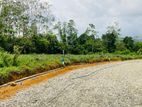 Valuable Plots Of Land In The Suburbs Eheliyagoda