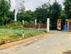 Valuable plots of land in the suburbs Eheliyagoda