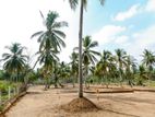 Valuable plots of land near Kurunegala-Colombo- 05 road