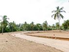 Valuable plots of land near Kurunegala for Sale