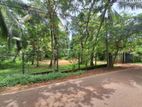 Valuable Property for Sale at Botuwadeniya Junction, Thammita Gampaha.