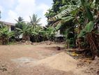 Valuable Residential & Commercial Land in Bokundara