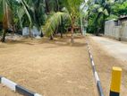 Valuable Residential Land Available for Immediate Sale