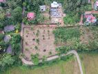 Valuable Residential Land Blocks Available for Sale in Weliweriya.