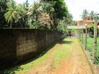 Valuable Residential Land Blocks for Sale in Kandana.