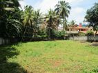 Valuable Residential Land Blocks for Sale in Kandana