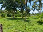 Valuable Residential Land for Sale Hakurukumbura, Mirigama