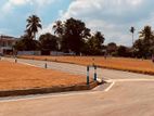 Valuable Residential Land for Sale in Arangala