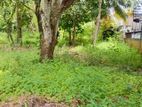Valuable Residential Land for Sale in Boralesgamuwa