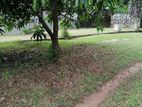 Valuable Residential Land for Sale in Brandiyawatta