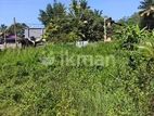 Valuable Residential Land for Sale in Danagama