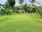 Valuable Residential land for sale in Gampaha Lakshmi road