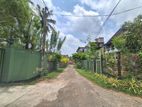 Valuable Residential Land for Sale in Indigolla, Gampaha.
