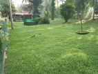 Valuable Residential Land for Sale in Kelaniya.