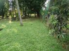 Valuable Residential Land for Sale in Kelaniya