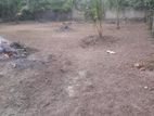 Valuable Residential Land For Sale In Kuliyapitiya