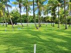 Valuable Residential Land for Sale in Melsiripura - H 12