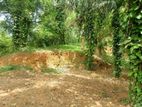 Valuable Residential Land for Sale in Mirissa