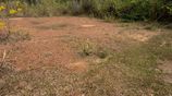 Valuable Residential Land for Sale in Piliyandala