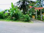 Valuable Residential Land for Sale in Thalawathugoda