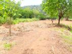 Valuable Residential Land for Sale – Kataragama, Devagamuwa
