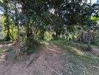Valuable Residential Land for Sale – Morawaka