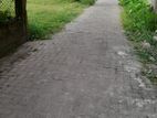 Valuable Residential Land for Sale Near Matara Akurassa Main Road