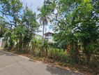 Valuable Residential Land for Sale – Pannipitiya