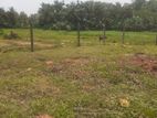 Valuable Residential Land for Urgent Sale Karapitiya , Galle