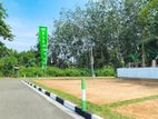 Valuable Residential Land - Ja-Ela Kotugoda