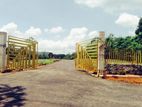 Valuable residential land plots for in Eheliyagoda