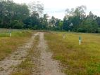 Valuable Residential Land Plots For In Eheliyagoda