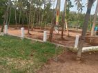 Valuable residential land plots for in Mathale Nalanda