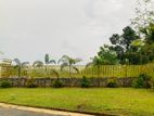 Valuable Residential Land Plots for Sale Near Eheliyagoda Town