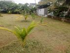 Valuable Residential Square-Shaped Land for Sale in Nugegoda.
