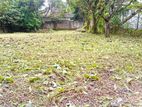 Valuable Semi Commercial Property for Sale in close Kadawatha.