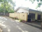 Valuable Single Stoery House for Sale in Kandana