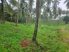 Valuable Square Land for Sale in Kurunegala