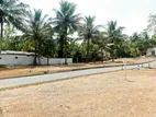 Valuable Superb Land for Sale in Meegoda with 6.60p