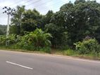 Valuable Teak Cultivated Land For Sale in Naula