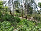 Valuable Tourist Land near Haputale