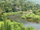 Valuable Tourist Plots Facing Kelani River from Kitulgala City Limits