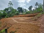 Valuable Two Lands For Sale in Polgasowita